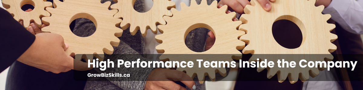 High Performance Teams Inside the Company